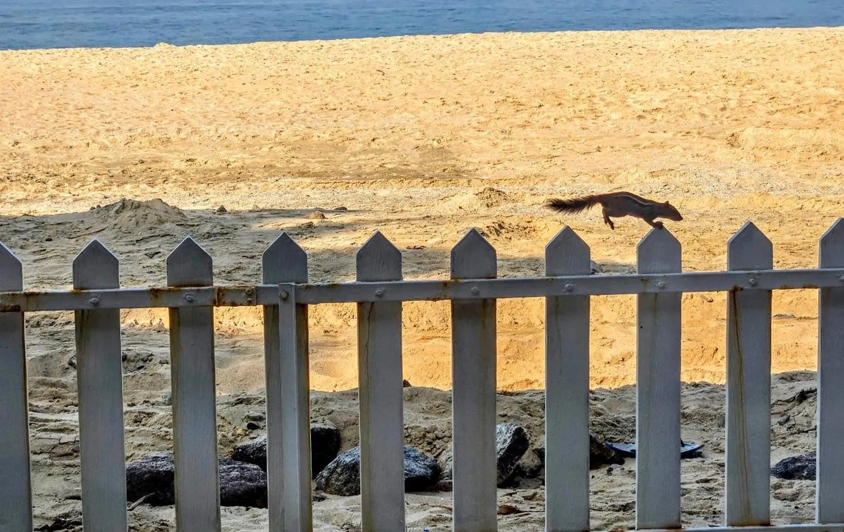 Ether Marari Beachfront Mararikulam